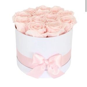 NIB FromYouFlowers Preserved Dozen Pink Roses